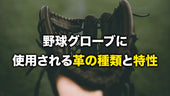 野球グローブに使用される革の種類と特性について