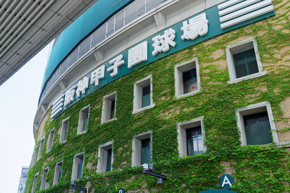 飛ばないバットはいつから導入された?高校野球へもたらす影響