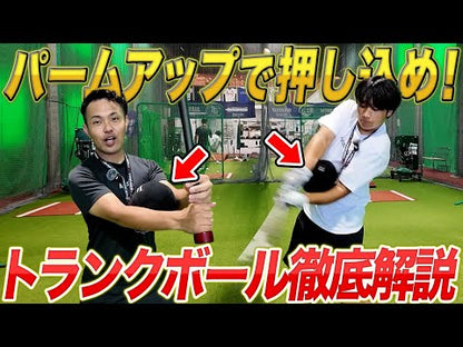 TRUNK BALL [Outlet item]